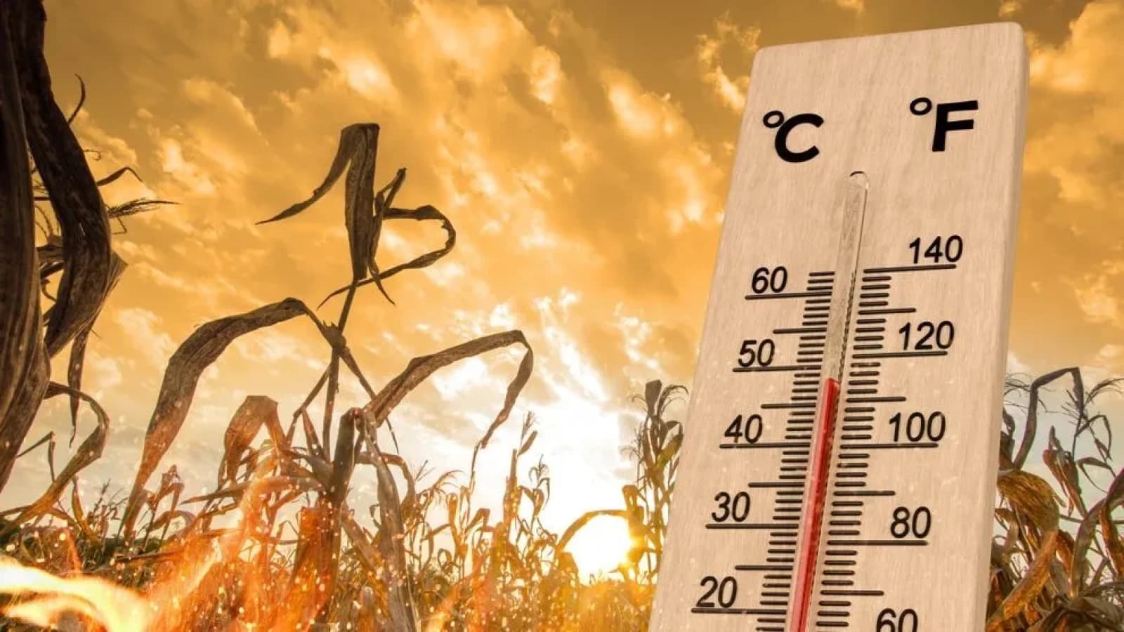 Meteorologii ANM au emis prognoza pe termen lung: Abia acum urmează valurile de caniculă și vară cu adevărat fierbinte