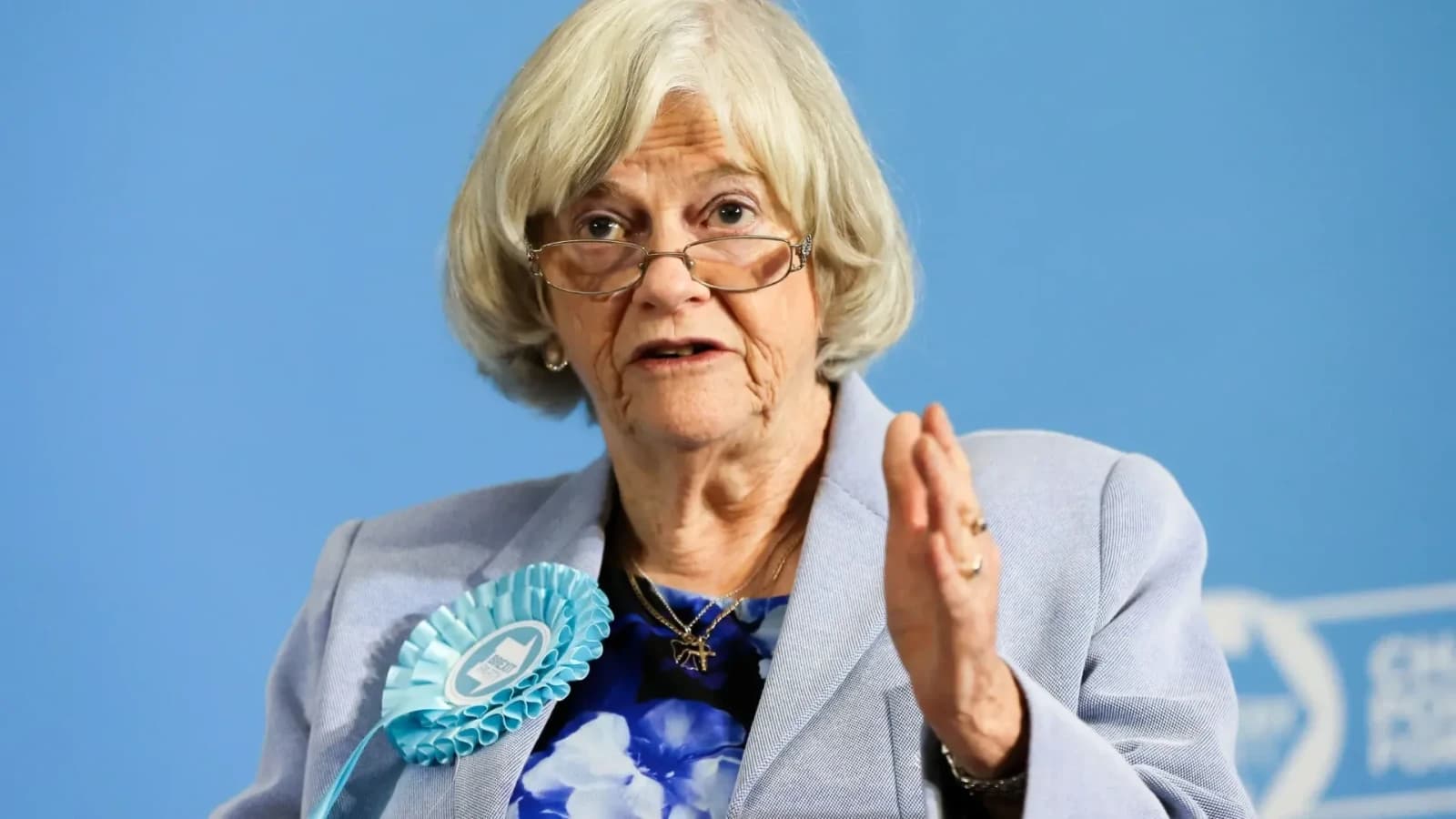 Uciderea deputatei Ann Widdecombe - Suspectul reținut a fost eliberat