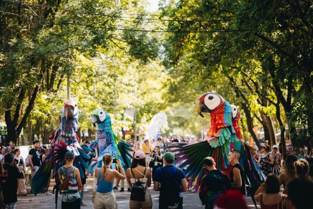 Sziget Festival ajunge la București cu o petrecere pregătitoare la J'ai Bistrot