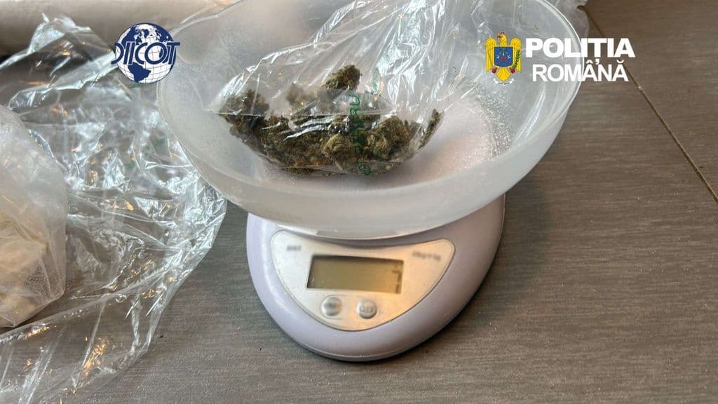 Cinci tineri arestați pentru trafic de droguri. Ce s-a descoperit la percheziții
