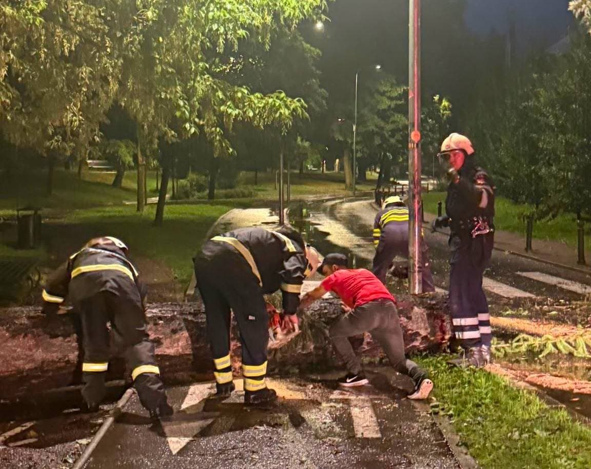 Arborele doborât de furtună, în Parcul Municipal, îndepărtat! ”Vom continua tăierea arborilor care sunt un pericol!”