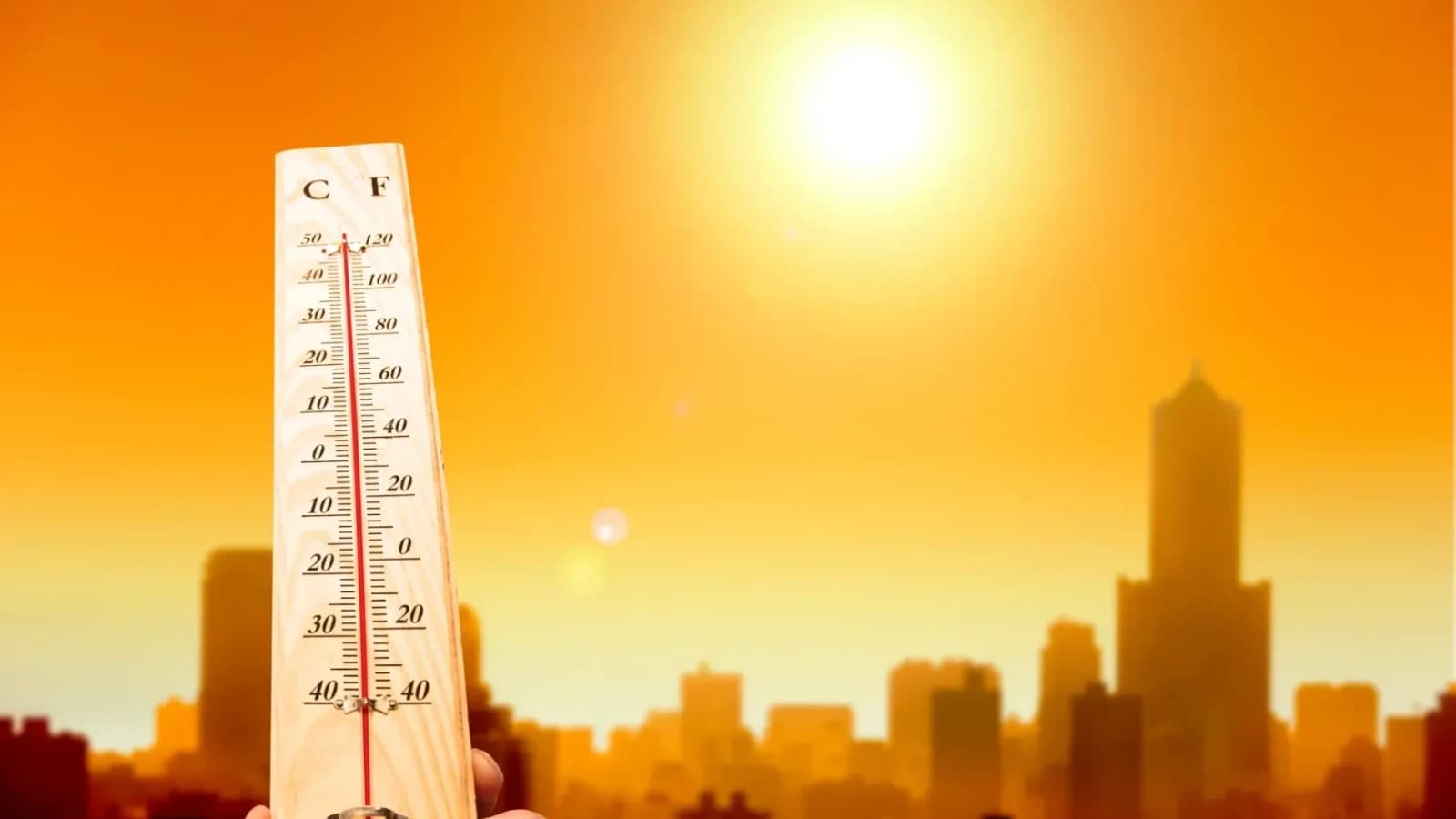 Trăiește de ani de zile la temperaturi de peste 40 de grade și ne explică cum putem face față mai ușor temperaturilor crescute